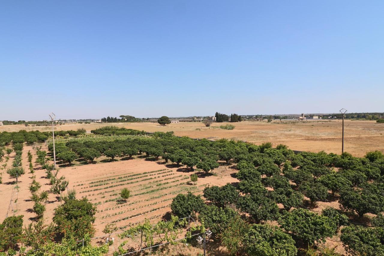 Tenuta Degli Agrumi Carmiano  Extérieur photo
